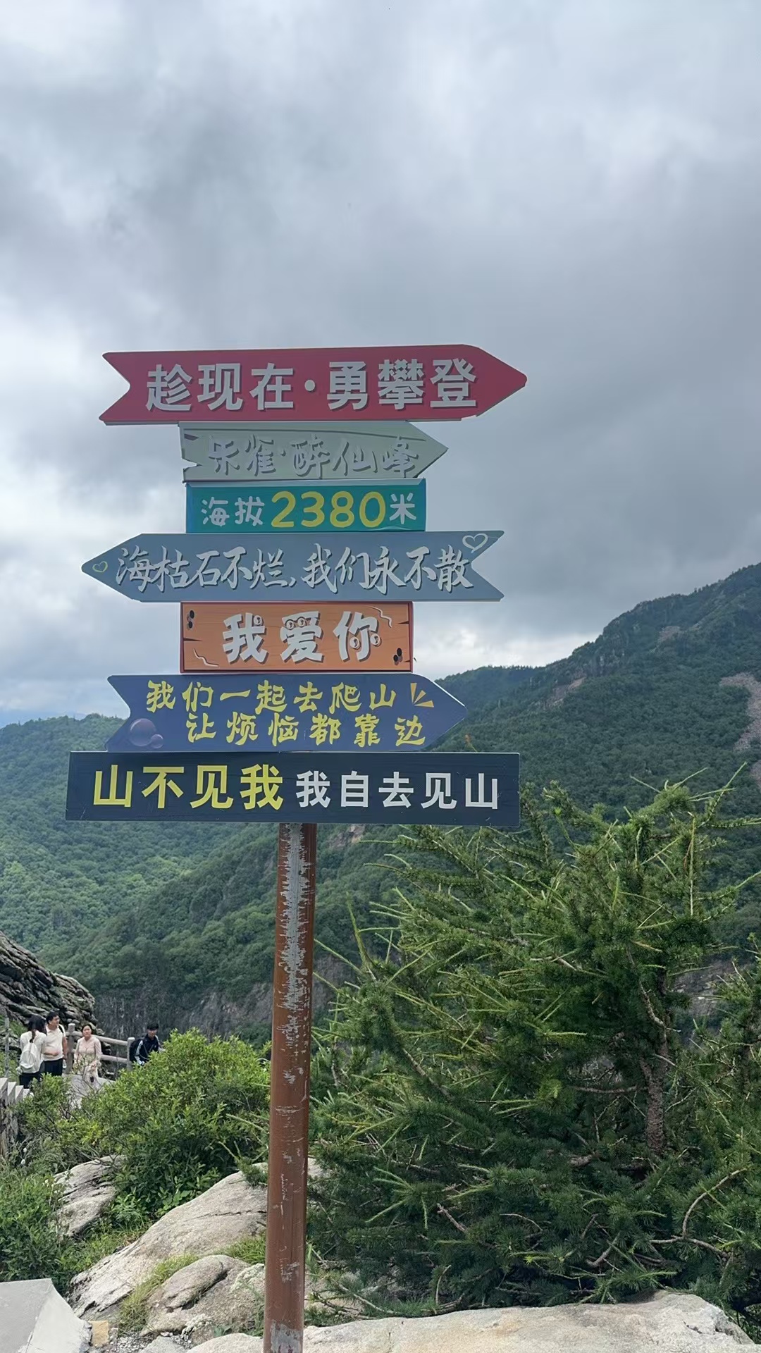 标语