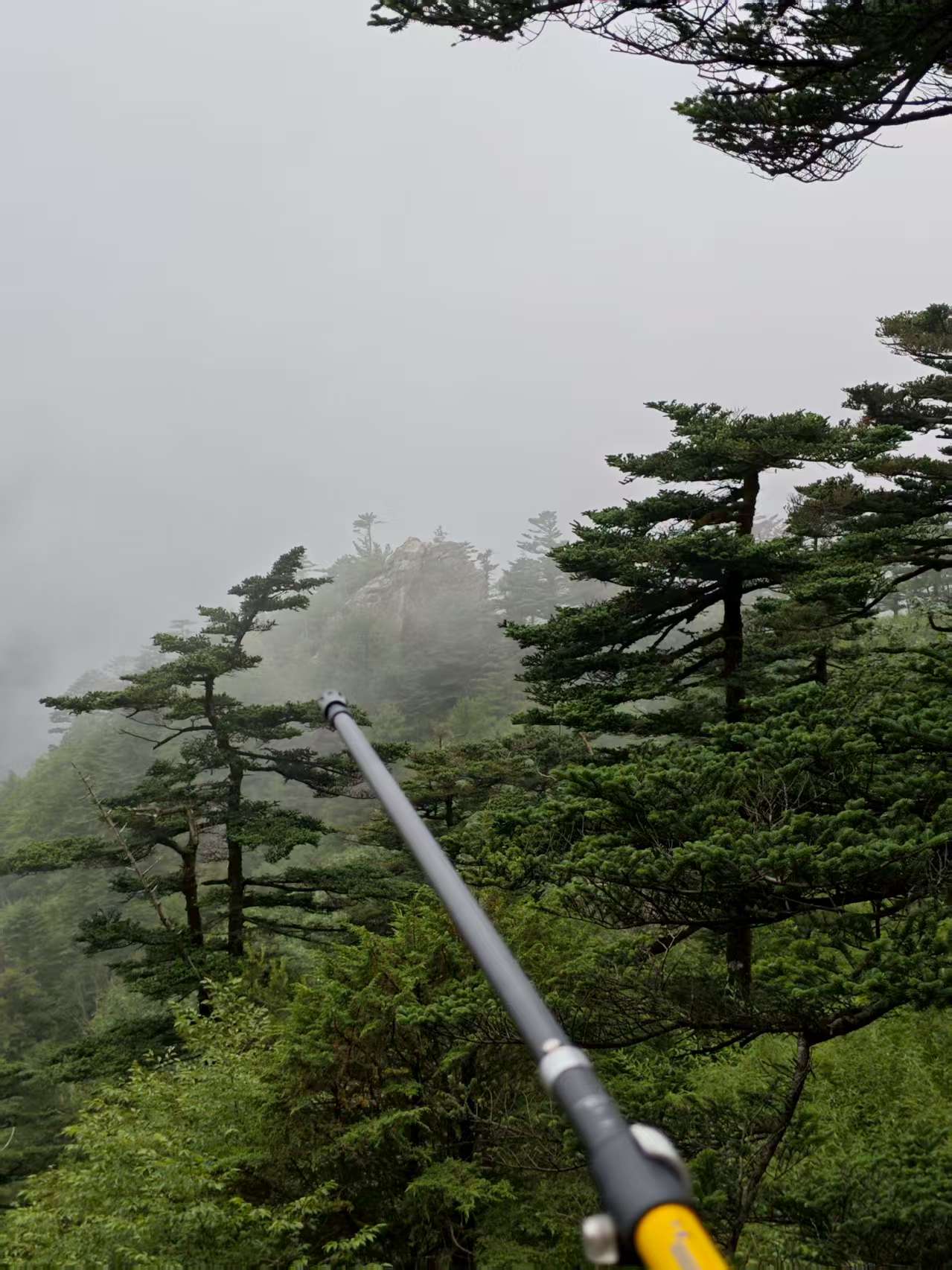 标语