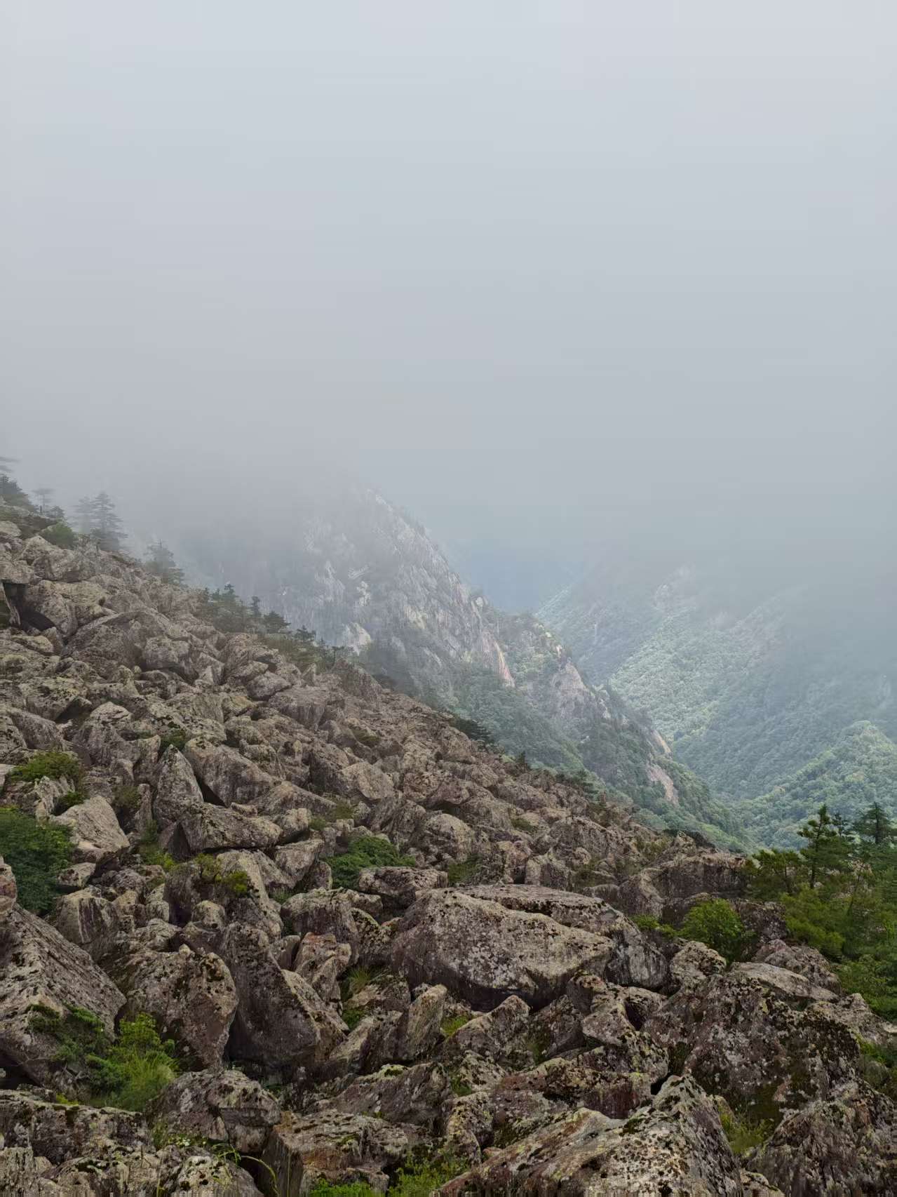 标语