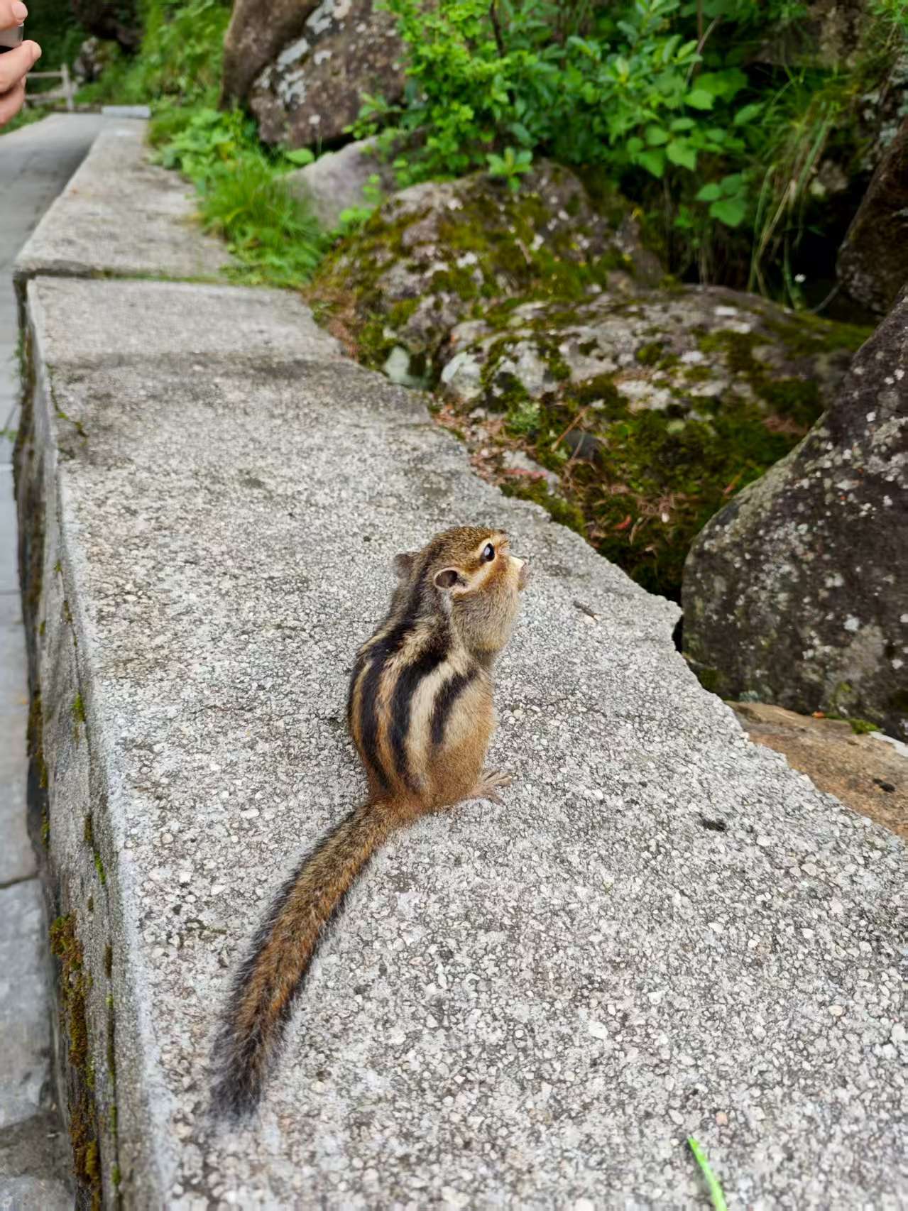 标语